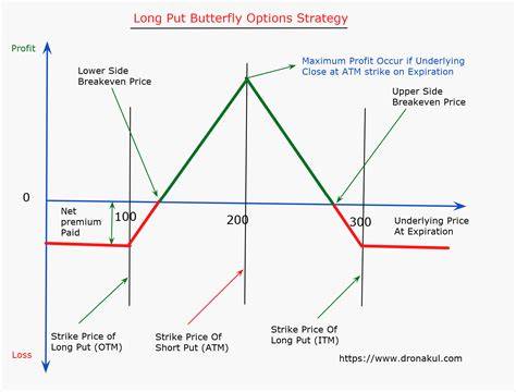 Butterfly Option Example