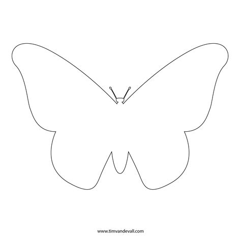 butterfly outline free