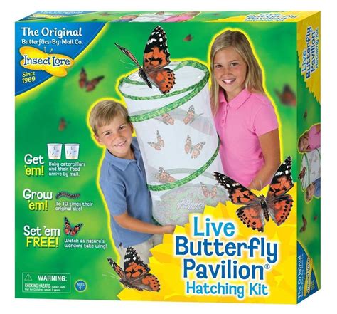 Butterfly Pavilion Kit