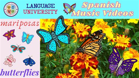 Butterfly Spanish Lessons