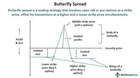 Butterfly Spread Example