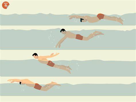 Male Swimmer Butterfly Stroke Stock Vector Image 26089531