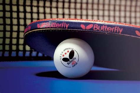 butterfly table tennis website