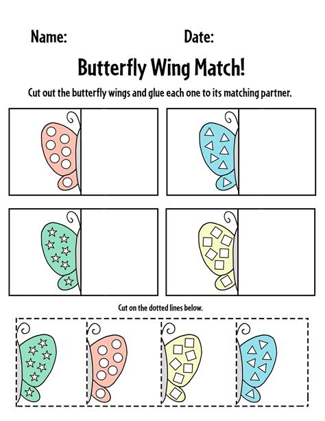 butterfly wings mathematics