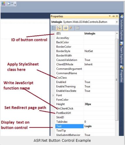 Button Control On Asp.net