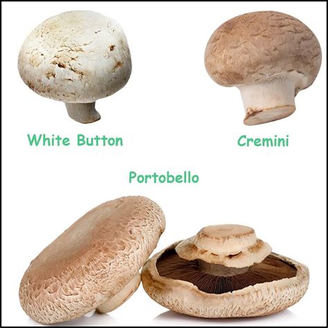 Button Mushrooms Or Cremini