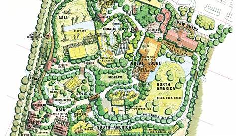 Buttonwood Park Zoo Master Plan
