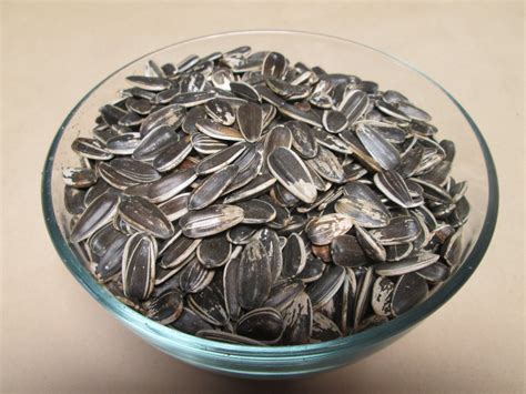 Sunflower Seeds Buy Sunflower Seeds in Bulk from Food to