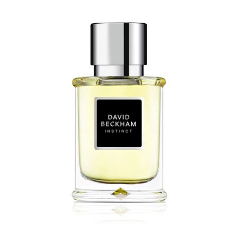 buy david beckham perfume