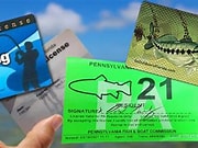 Buy Fishing License Over Phone