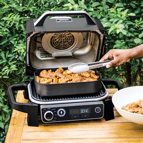 buy ninja woodfire grill with air fryer