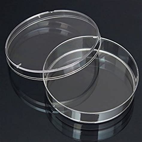 buy petri dish for science project