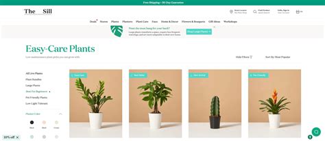 Buy Pictures For site