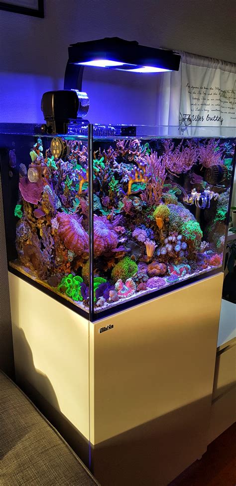 buy red sea aquarium