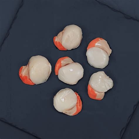 Buy Tasmanian Scallops