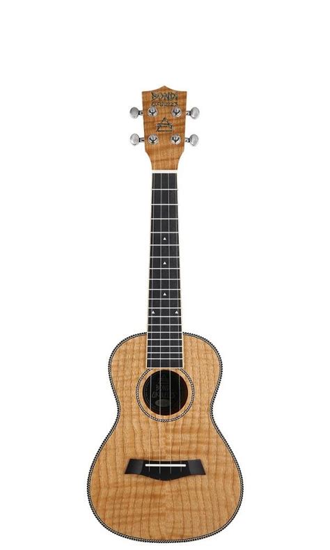 buy ukulele online near me delivery