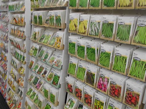 buying seeds near me