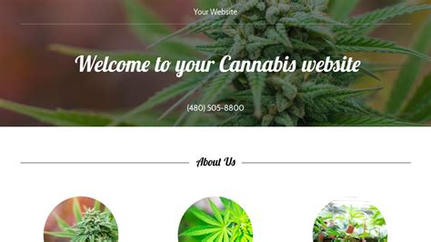buzz cannabis website