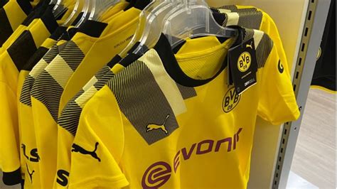 bvb champions league trikot