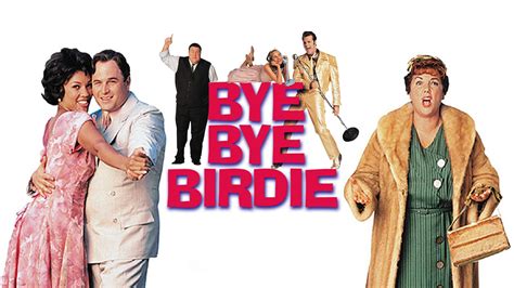 Bye Bye Bye Birdie