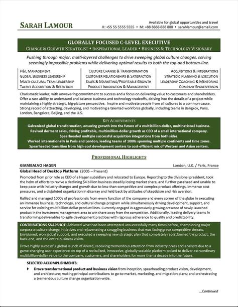 Best Executive Resume Template & 20+ CLevel Examples