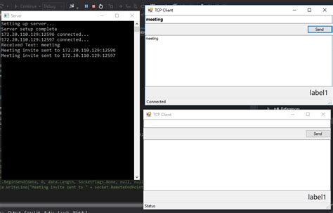 C# Socket Send File Example
