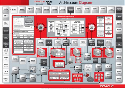 c'est quoi oracle