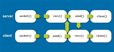 C++ Socket Send Example Linux
