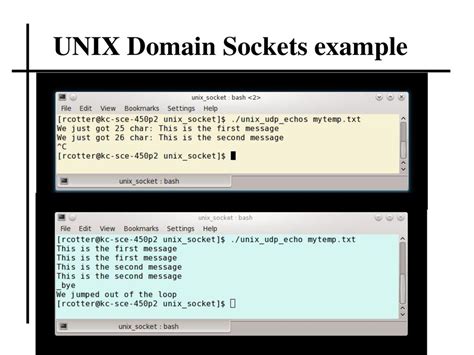 C++ Unix Socket Example
