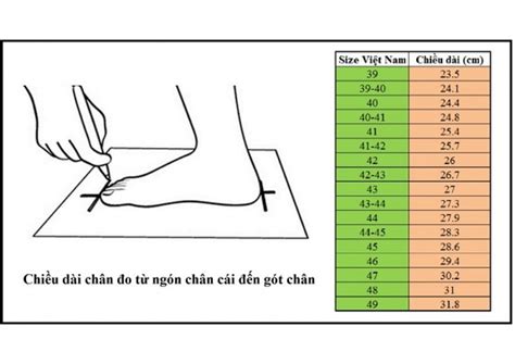cách đo size giày