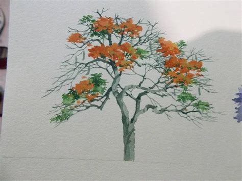 cách vẽ cây phượng