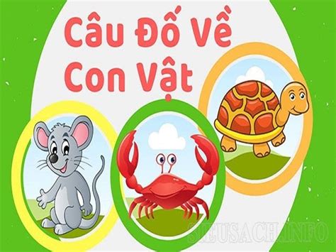 câu đố về động vật