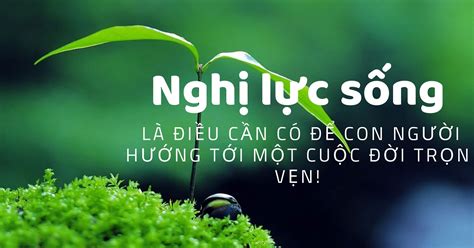 câu nói hay về nghị lực