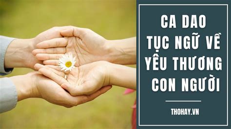 câu thành ngữ tục ngữ về lòng nhân ái