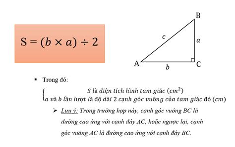 công thức s tam giác