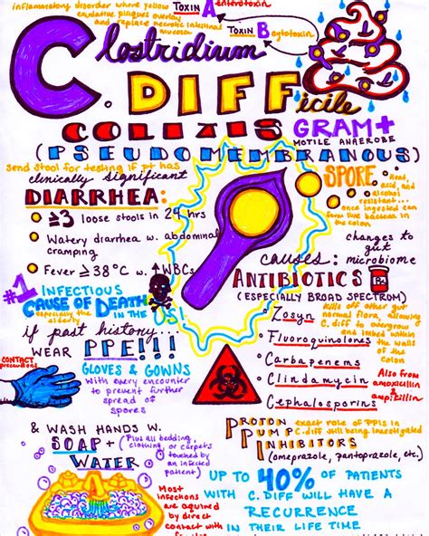 c diff education for staff