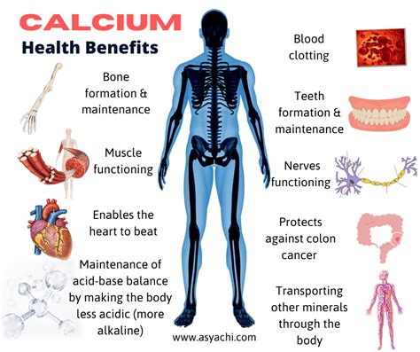 c medical meaning of calcium