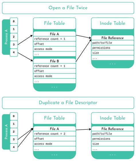 C Open File Descriptor Example