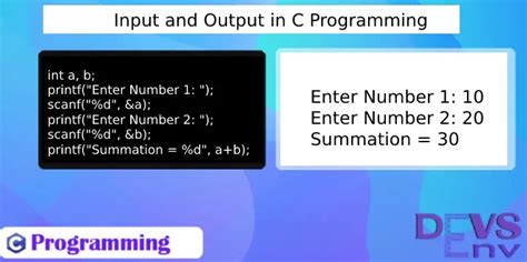 c programming examples with output for students