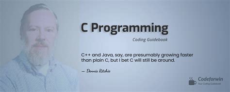 c programming exercises with solutions for beginners