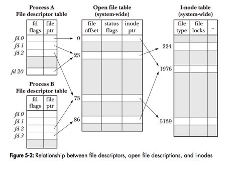 C Read File Descriptor Non Blocking