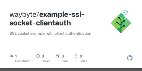 C Ssl Socket Client Example