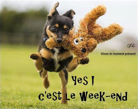 Ca y est,c