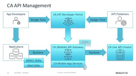 ca api gateway full form