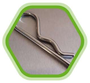 ca celebrity ms cotter