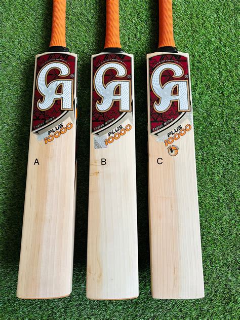 Ca Cricket Bats Wiki