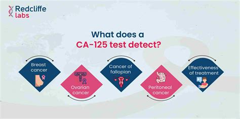 Understanding the CA125 Blood Test: What You Need to Know About Ovarian Cancer Screening