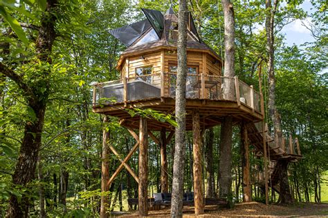 cabane dans les arbres lot