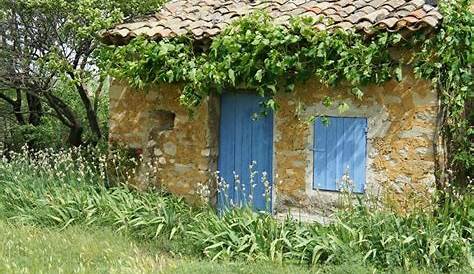 Cabanon En Pierre Provence LAVANDES EN PROVENCE Le Aux Lavandes Photo Et