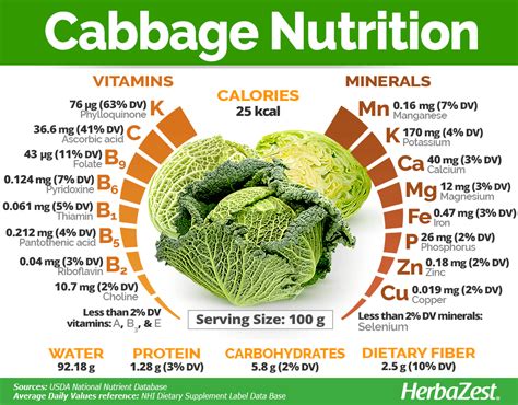 Cabbage Cooked Nutritional Value